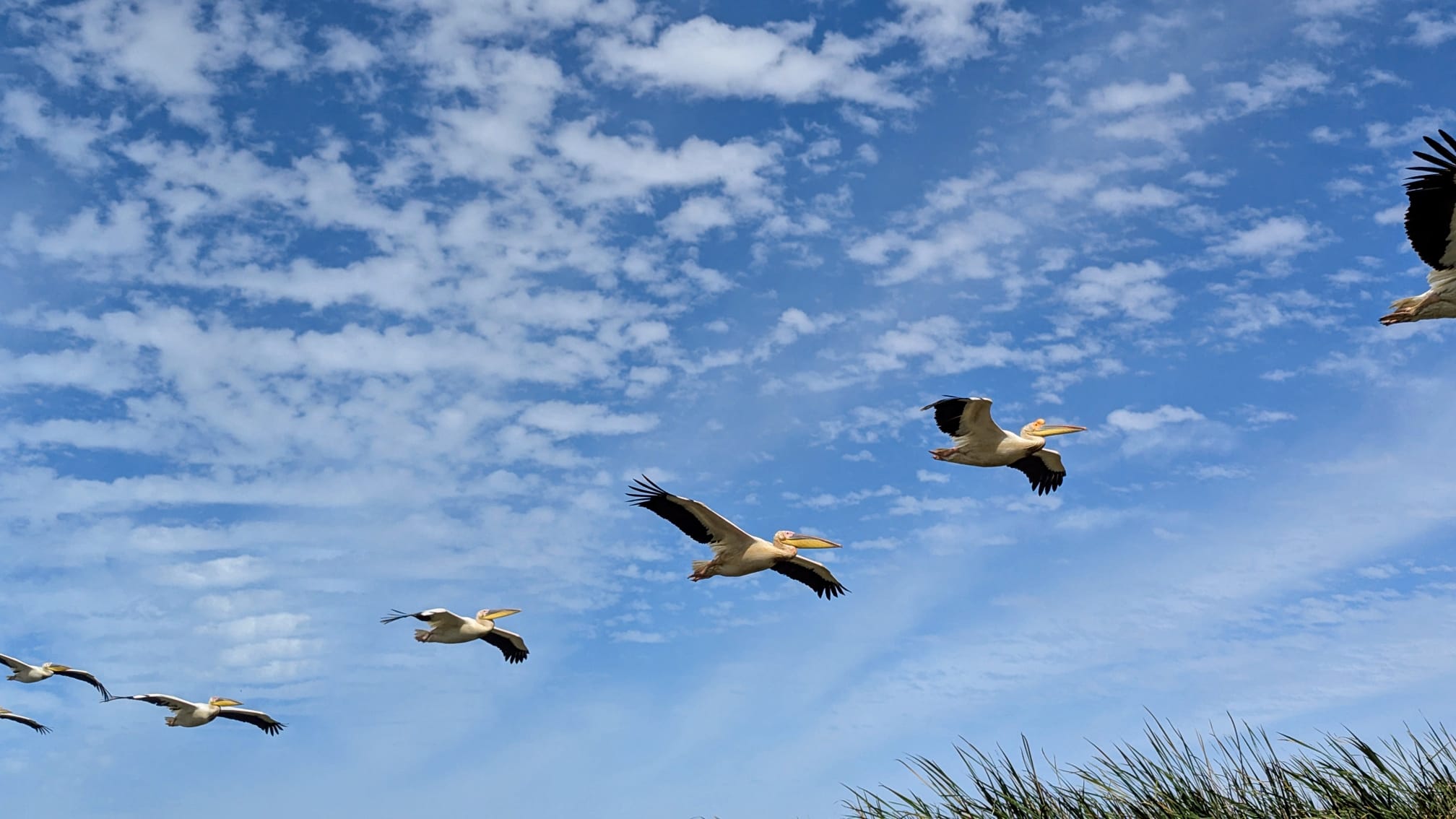 photo 2025 12 26 08 52 50 1[1]