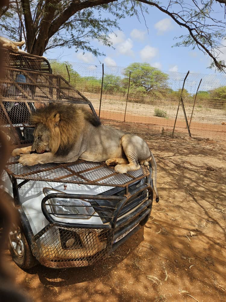 photo 2026 01 30 15 39 46[1]